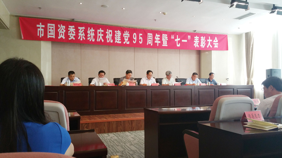 新華集團優(yōu)秀黨組織和黨員受到表彰 第 1 張