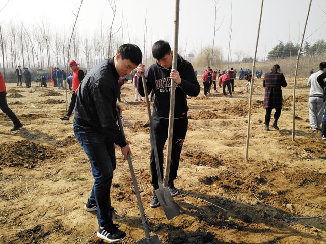 臨沂新華參加義務(wù)植樹活動 第 1 張
