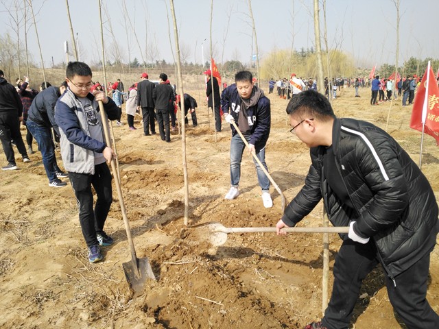 臨沂新華參加義務(wù)植樹活動 第 2 張